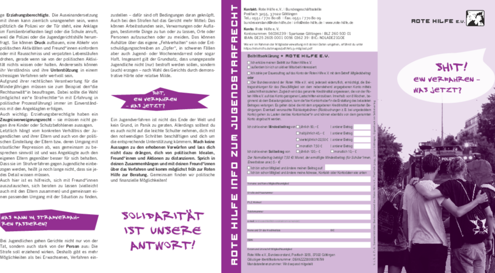Vorschaubild: Flyer "Jugendstrafrecht"