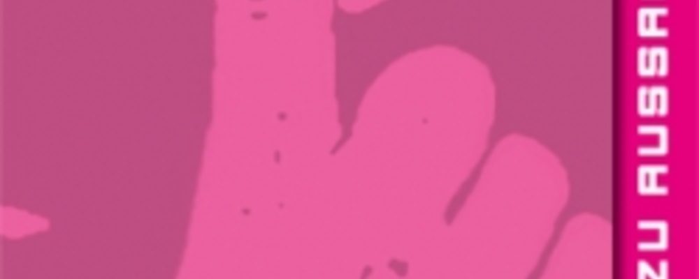 flyer aussageverweigerung